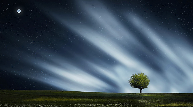 乡村全面振兴下的农村双碳与新能源生意